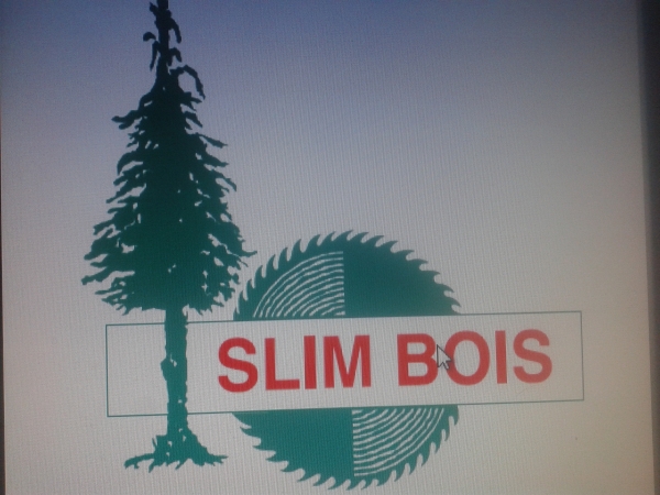 SLIM BOIS S.A. Logo