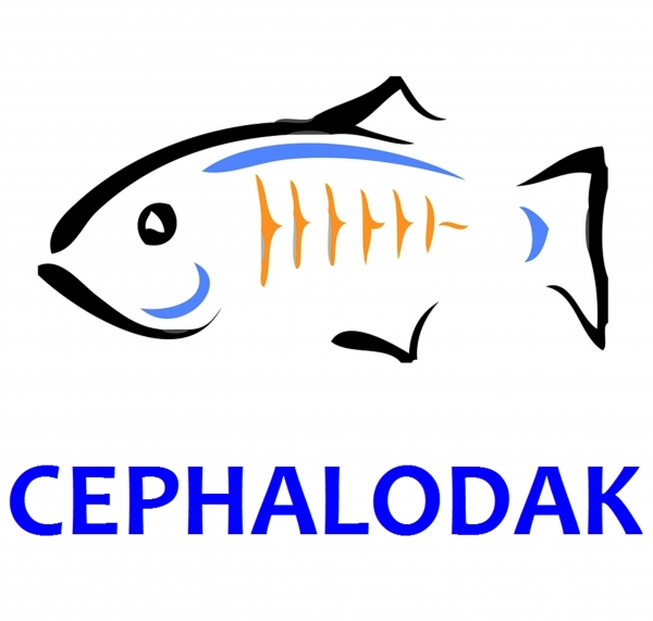 Cephalodak