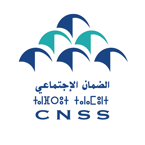 CNSS (CAISSE NATIONALE DE SECURITE SOCIALE) (SECTION INARA) Logo