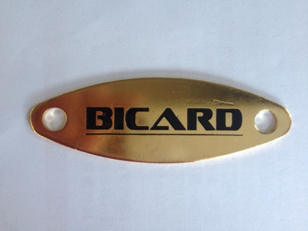 BICARD Logo