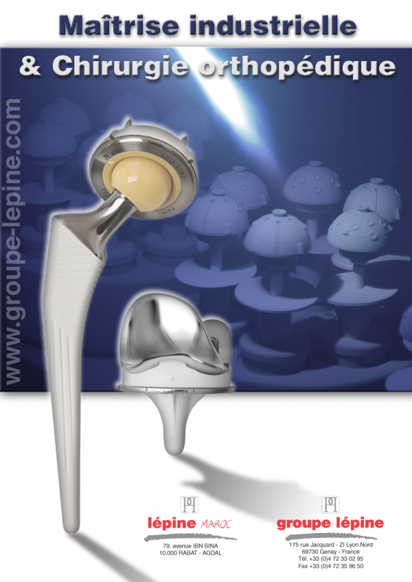 Lépine Maroc Sarl Logo