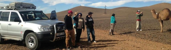 Tours of Morocco Logo