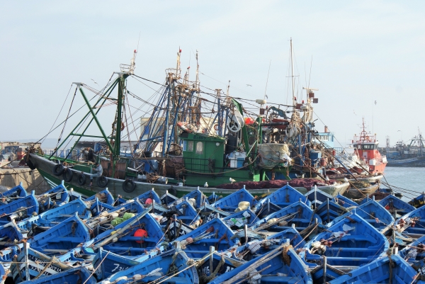 Morocco Destination Tours Company Logo