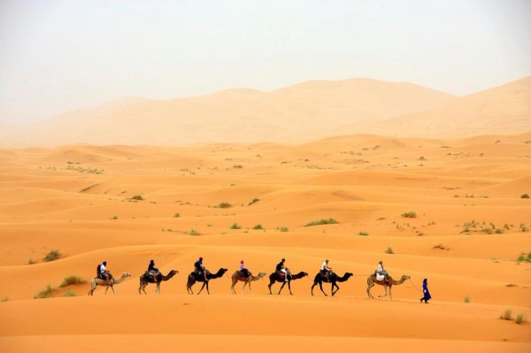 Morocco Camel Trekking Merzouga Logo