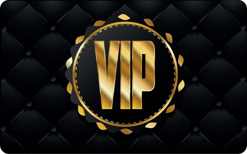 VIP properties Logo