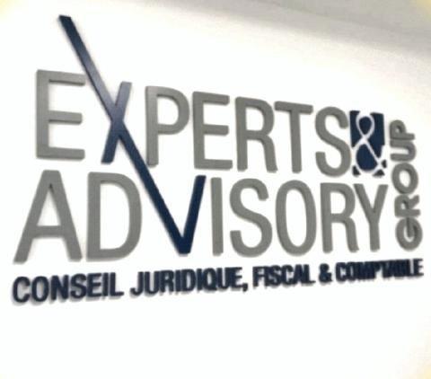 EXPERTS & ADVISORY GROUP (EAG) Logo