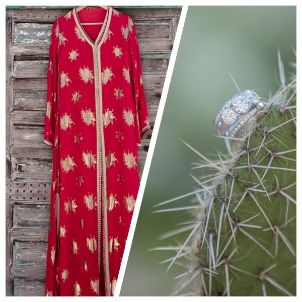 Paragon Expressions Logo