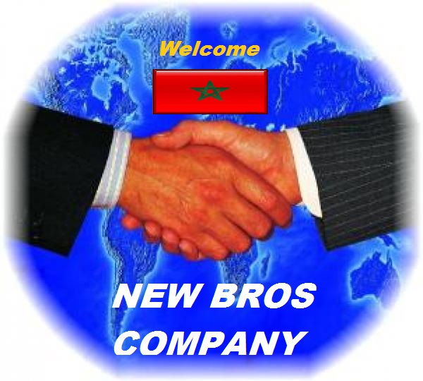 NEW BROS COMPANY SARL