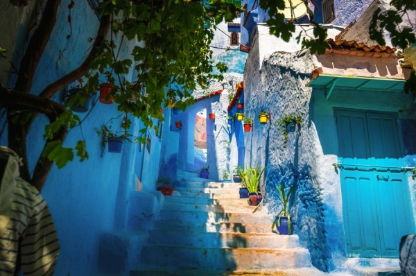 Pure Morocco Tours & Travel Logo