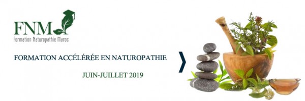 Institut Naturopathie Maroc Logo