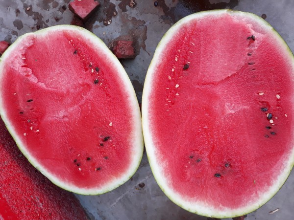 CITRO FRUIT SARL Logo