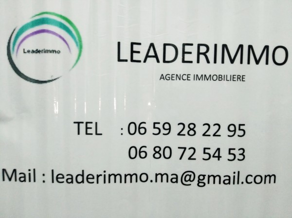Leaderimmo Logo