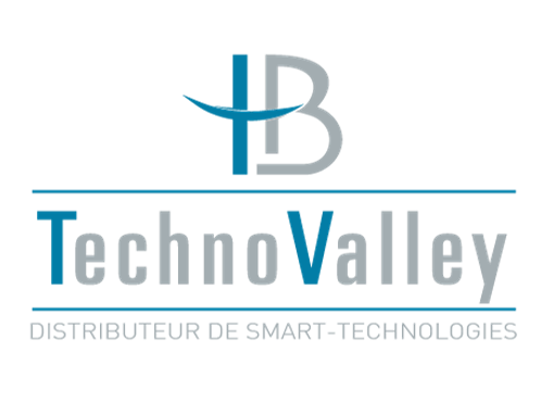 Technovalley Logo