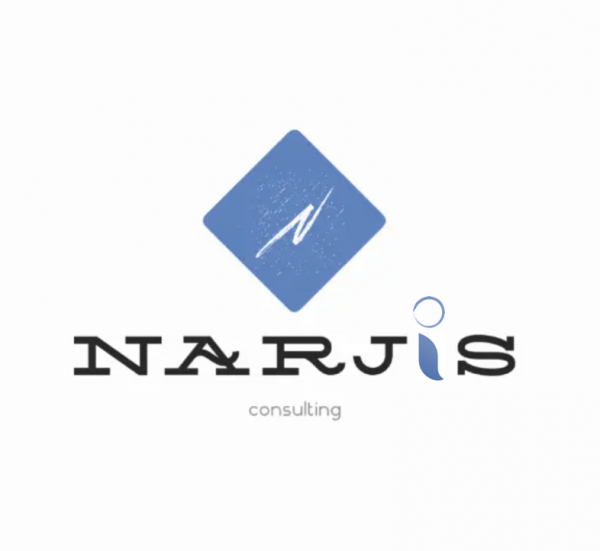 NARJIS CONSULTING Logo