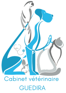 Cabinet Vétérinaire GUEDIRA Logo