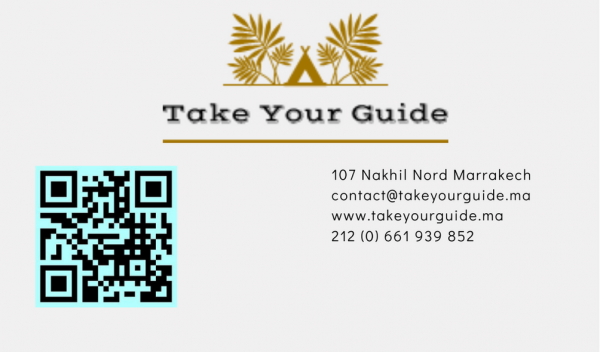 Take Your Guide Logo