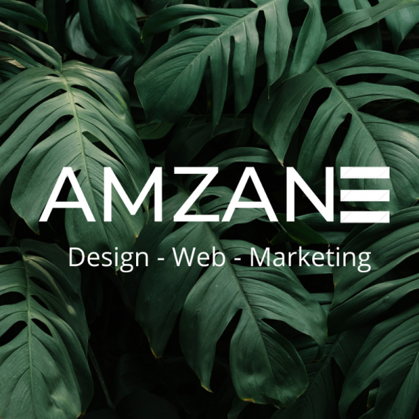 AMZANE MARKETING Logo