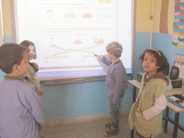 INSTITUTION LES IRIS Logo