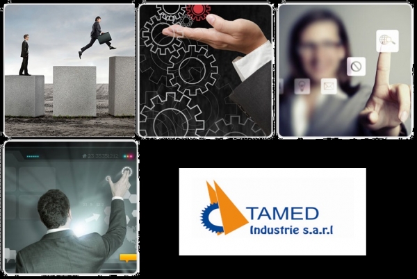 TAMED INDUSTRIE Logo